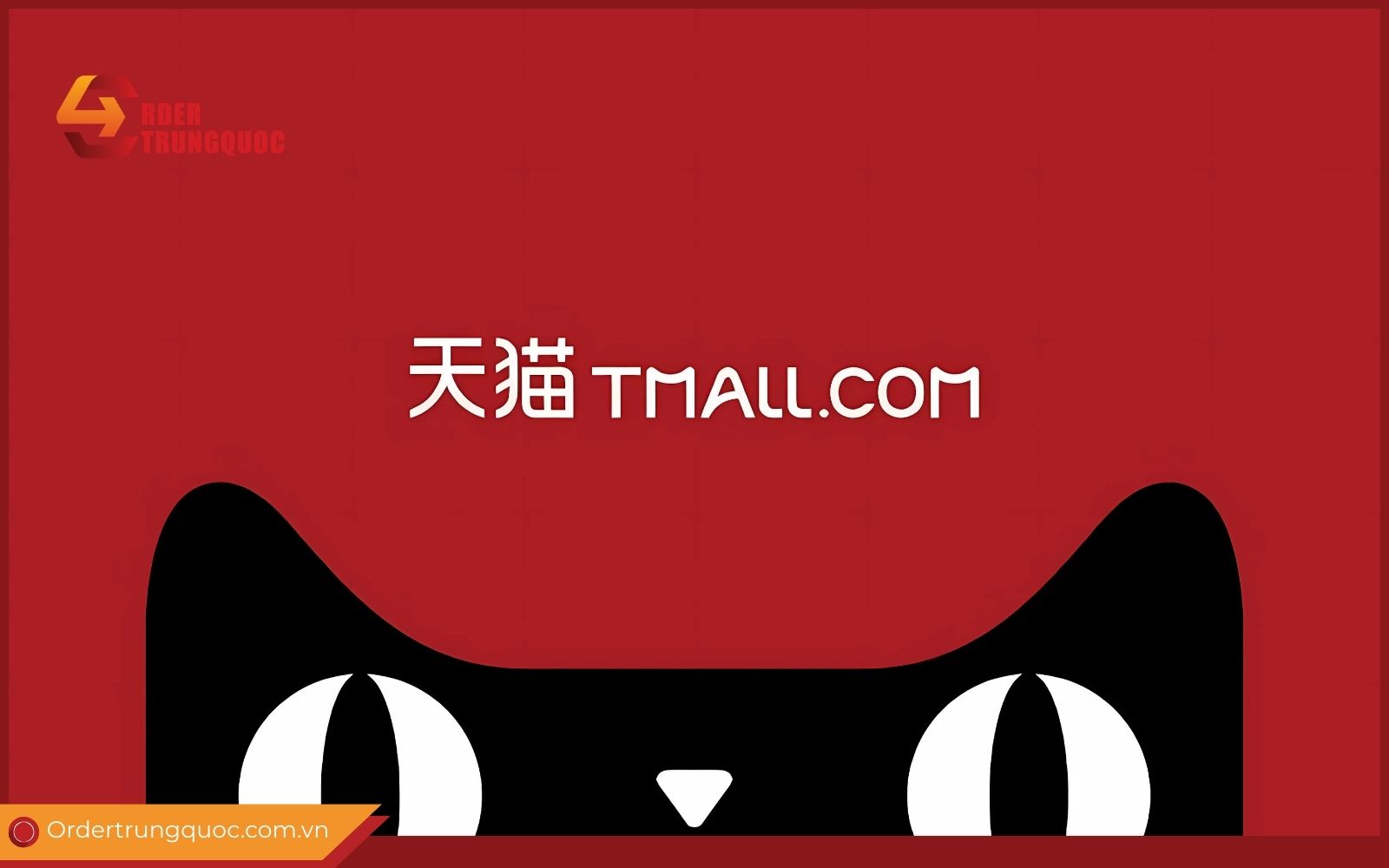 Tìm hiểu trang mua hàng Tmall là gì và điểm nổi bật của sàn mua sắm này Khám phá Tmall là trang gì?