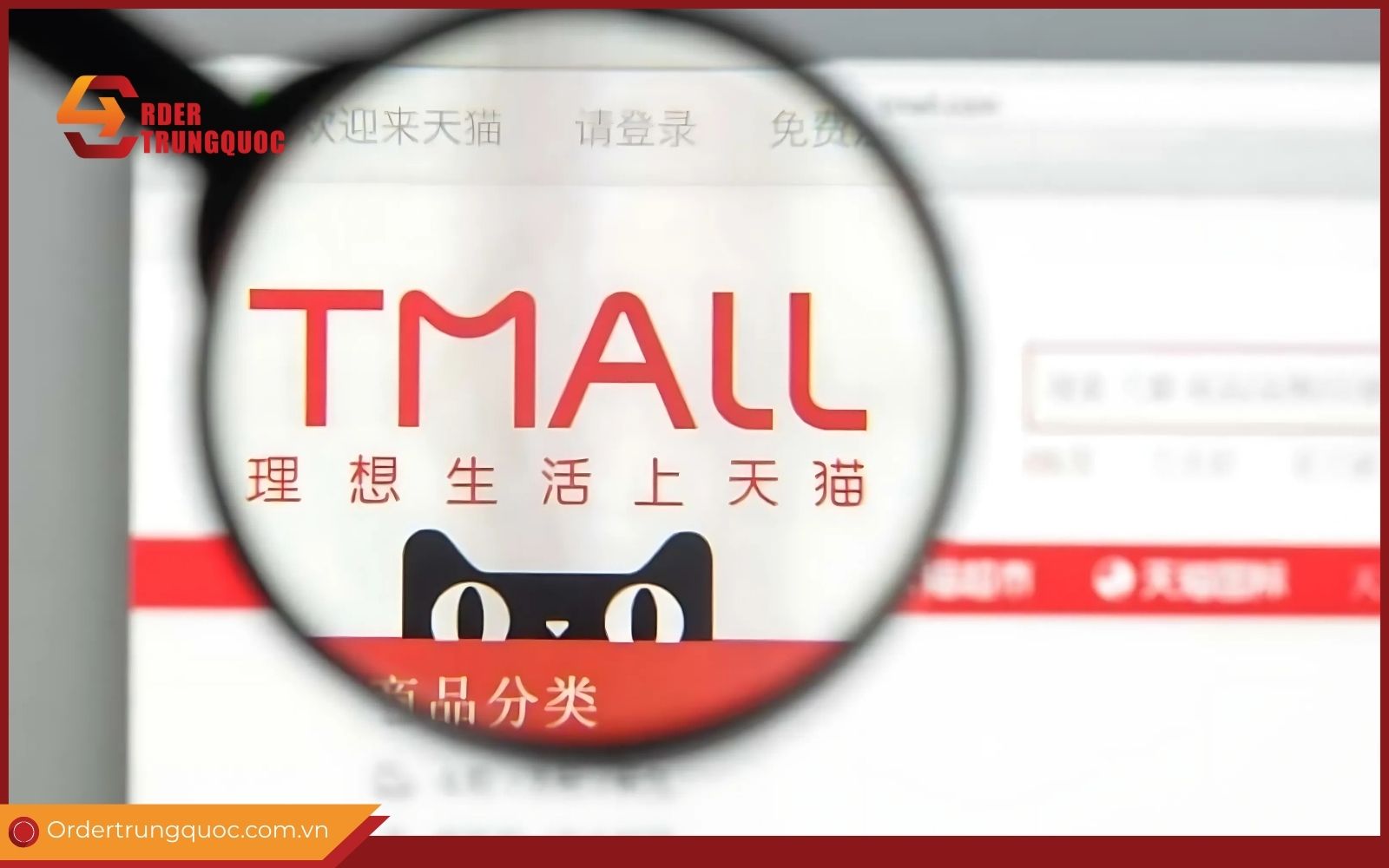 Những ưu điểm khi order Tmall là gì? Ưu điểm khi order Tmall