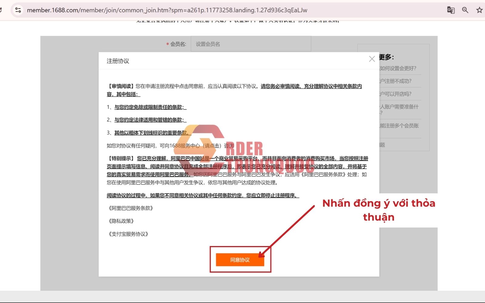 đồng ý điều khoản sử dụng của trang web 1688 đồng ý điều khoản sử dụng của trang web 1688