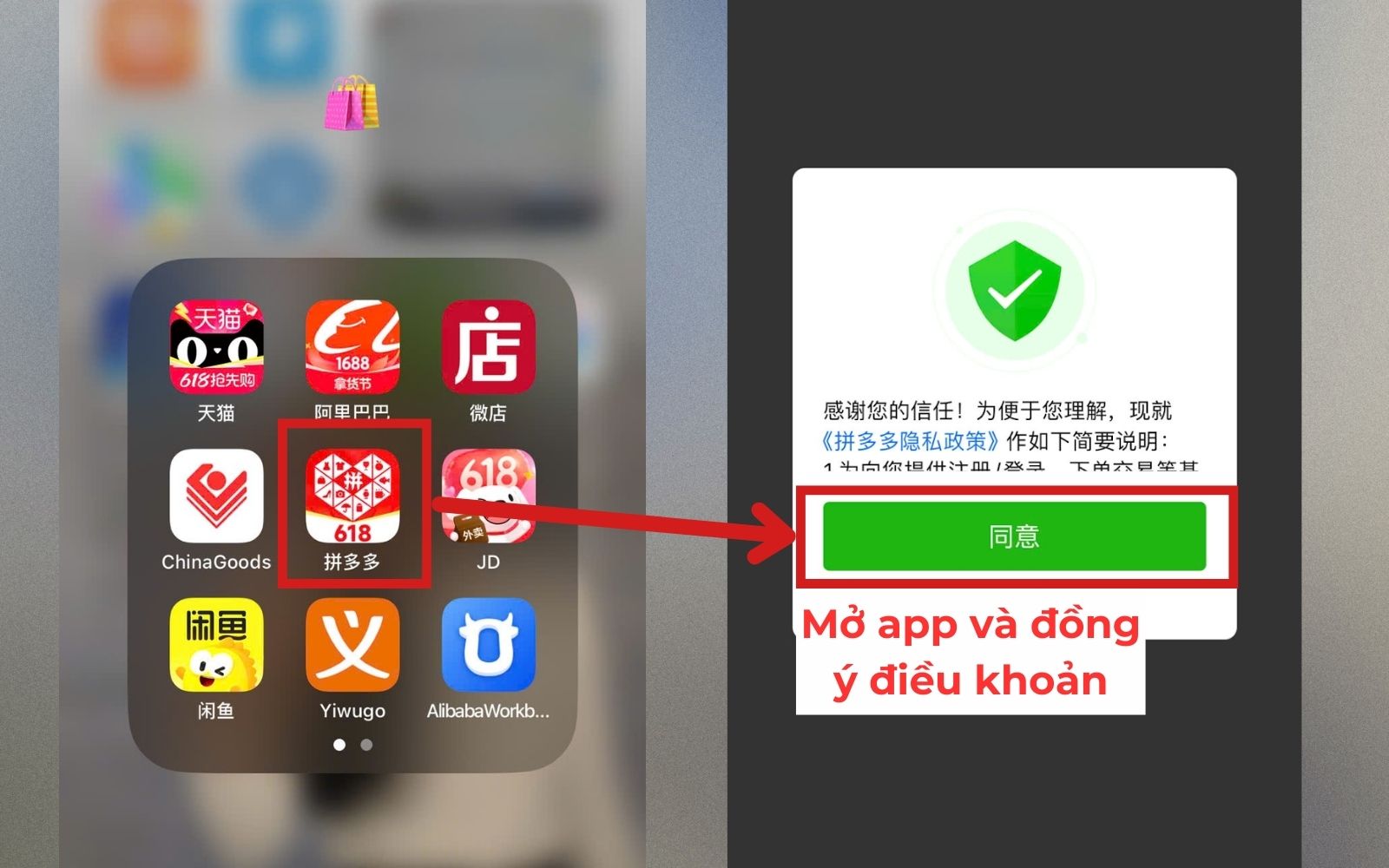 Mở ứng dụng Pinduoduo và đồng ý điều khoản sử dụng của hệ thống Mở ứng dụng để tạo tài khoản đăng nhập Pinduoduo