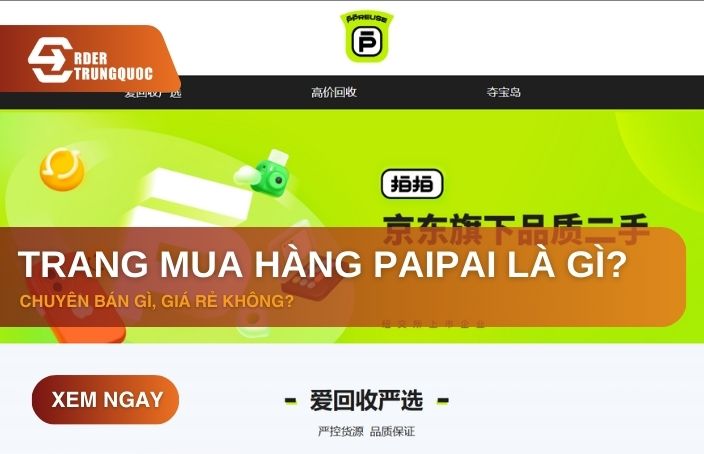 Tìm hiểu trang mua hàng Paipai là gì?