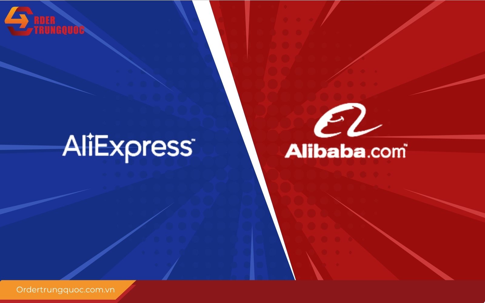 Nhà cung cấp có cửa hàng Alibaba và cả Aliexpress có độ tin cậy cao