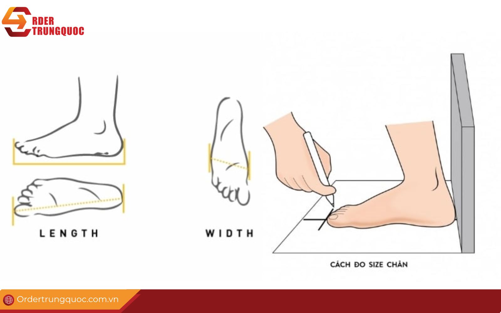 Tips chọn đúng size giày Quảng Châu khi mua online Tips chọn đúng size giày Quảng Châu khi mua online