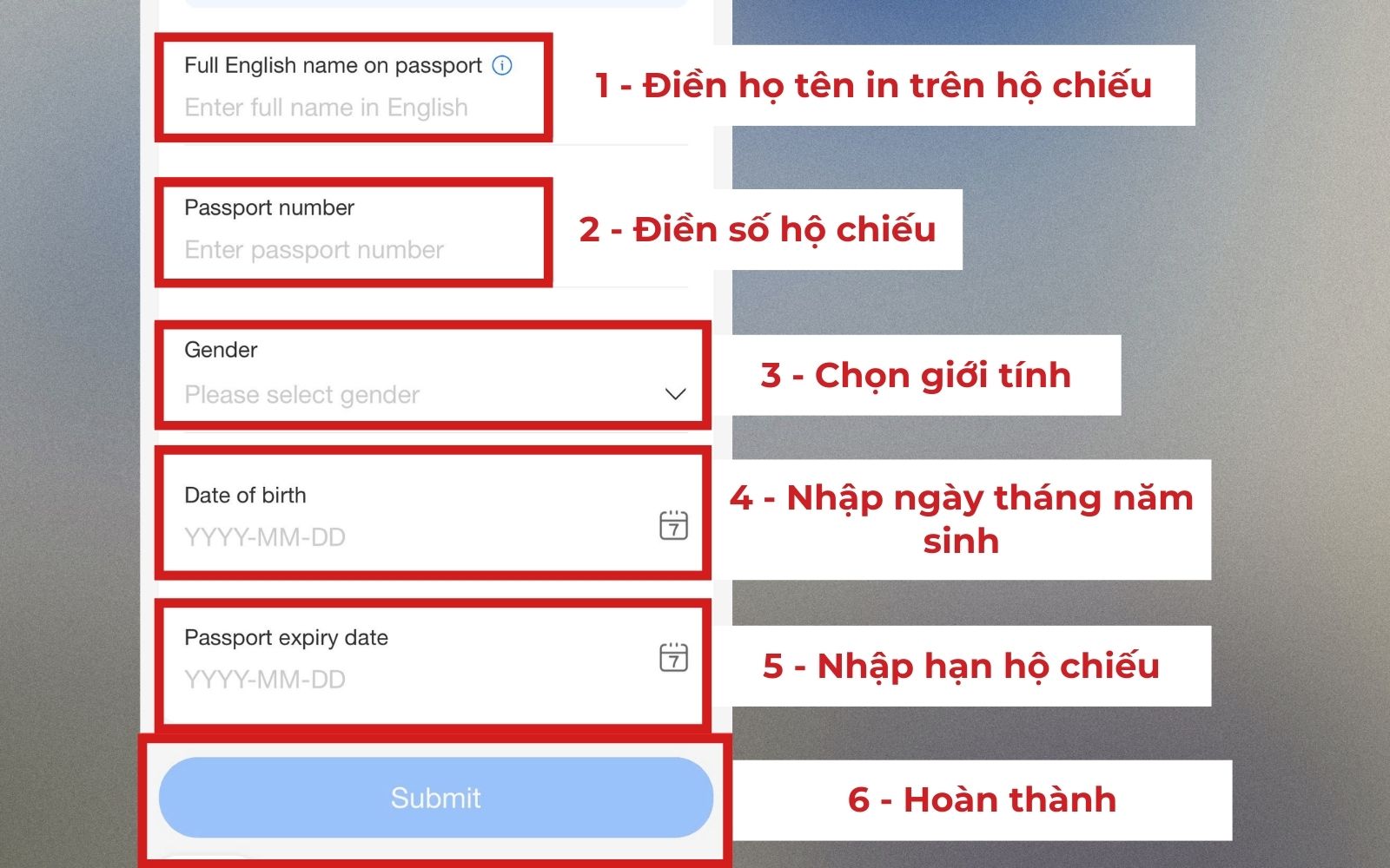 Điền thông tin hộ chiều để xác thực tài khoản Alipay